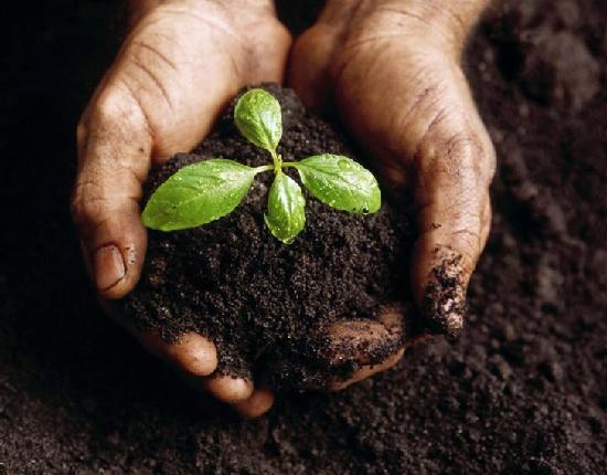 "Impianto di compostaggio. Montagna risponda alle nostre domande" "Impianto di compostaggio. Montagna risponda alle nostre domande"