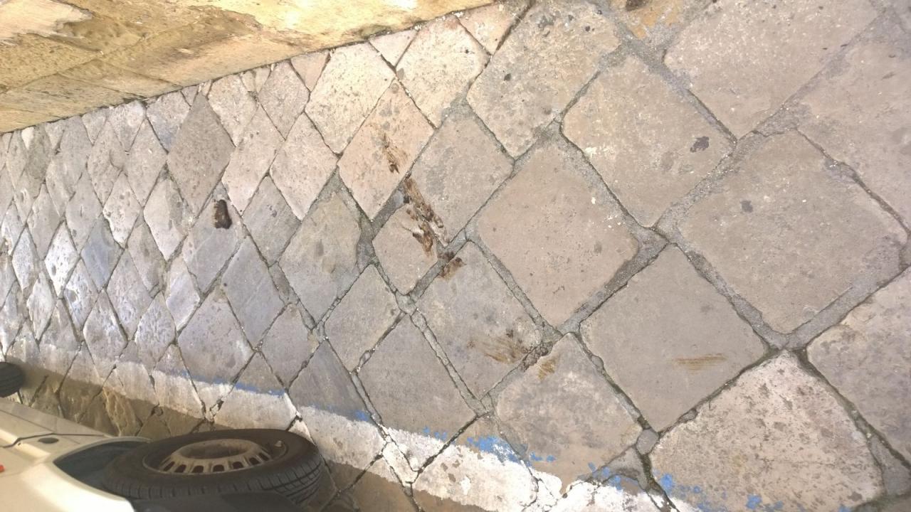 &quot;Papà, chi fa la cacca per strada?&quot;