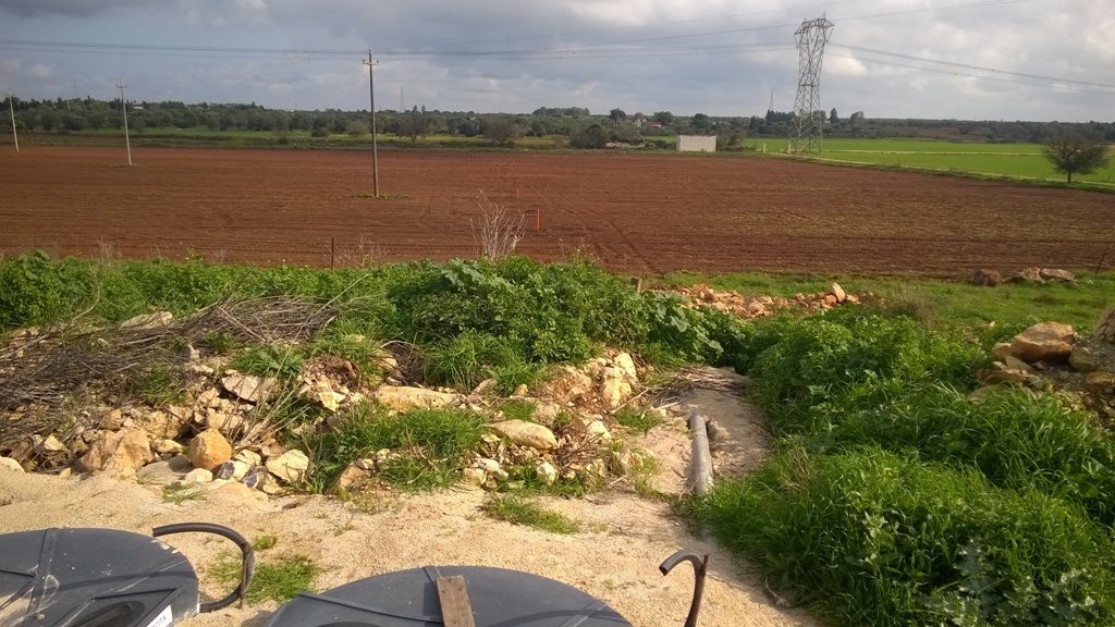 Sotto sequestro il terreno di un'azienda agricola galatinese Sotto sequestro il terreno di un'azienda agricola galatinese