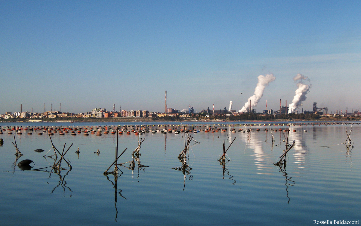 I batteri riducono l'inquinamento del Mar Piccolo di Taranto I batteri riducono l'inquinamento del Mar Piccolo di Taranto