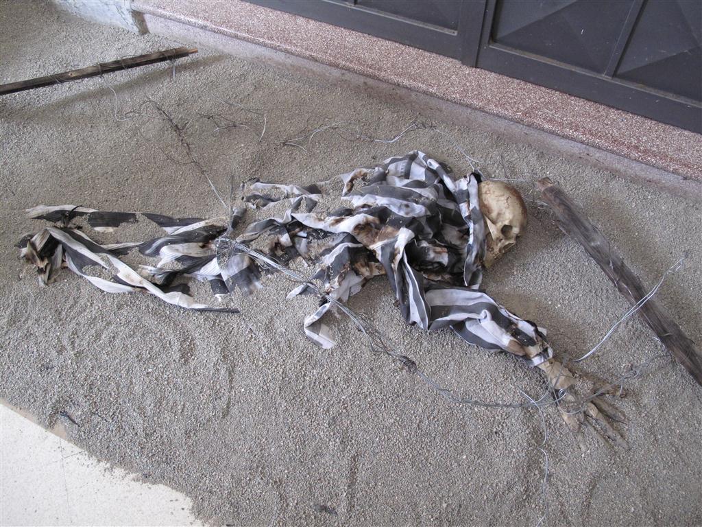 'Nel ricordo della Shoah'. Il Polo 1 'Al di là del muro'