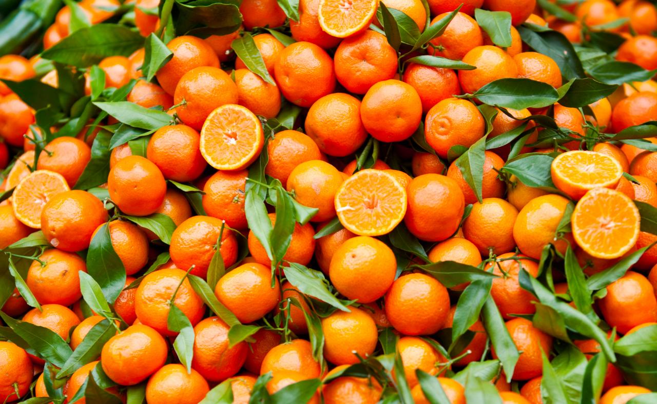 Crollano i prezzi degli agrumi in campagna e salgono nei mercati Crollano i prezzi degli agrumi in campagna e salgono nei mercati