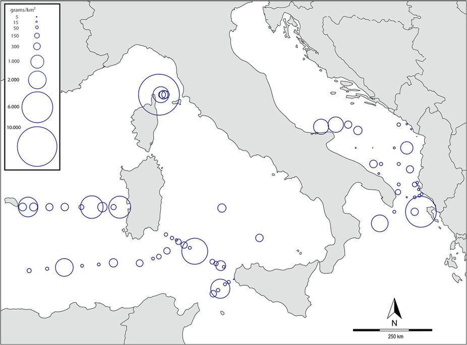 La plastica nel Mediterraneo La plastica nel Mediterraneo
