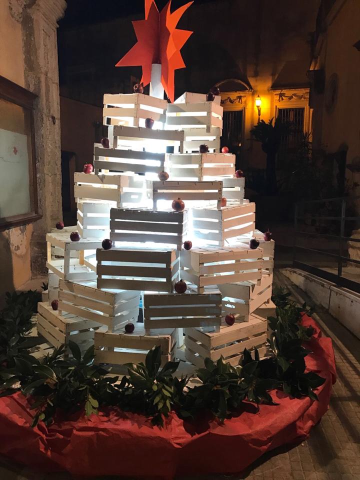 Al Polo 2 un albero &quot;in cassetta&quot;