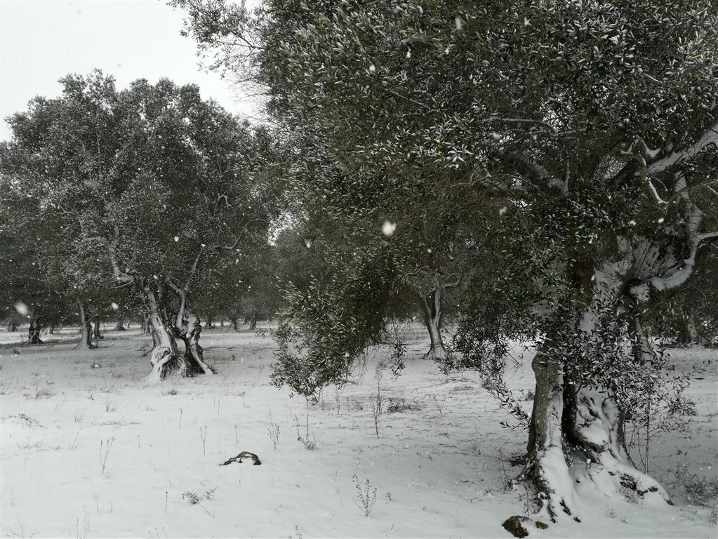 &quot;Non mettetevi in viaggio!&quot; Allarme neve in tutto il Salento