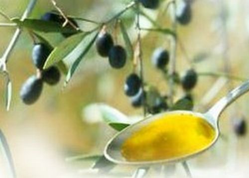 Vuoi diventare assaggiatore di olio? L'Apol organizza un corso gratuito Vuoi diventare assaggiatore di olio? L'Apol organizza un corso gratuito