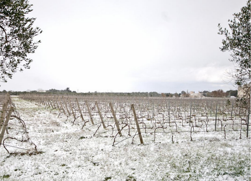 Neve, dalle Marche al Salento passando da &quot;Radio Azzurra&quot;