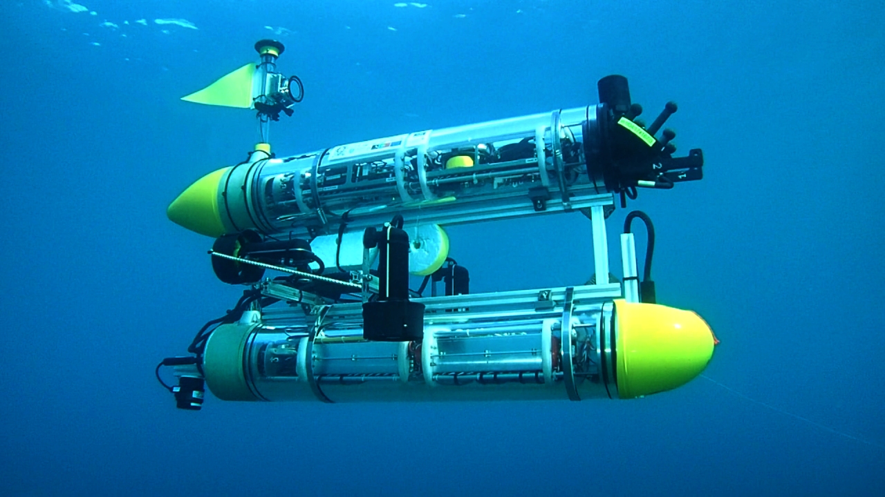 WiMUST, una squadra di robot subacquei a lavoro