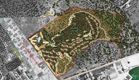 “Salviamo la Sarparea”