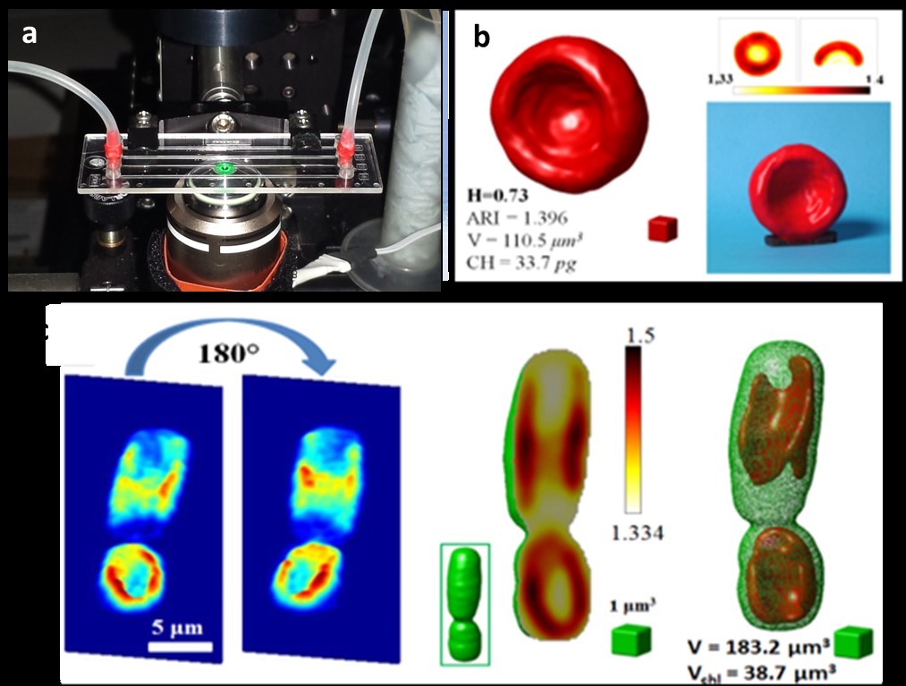 La "biopsia liquida"