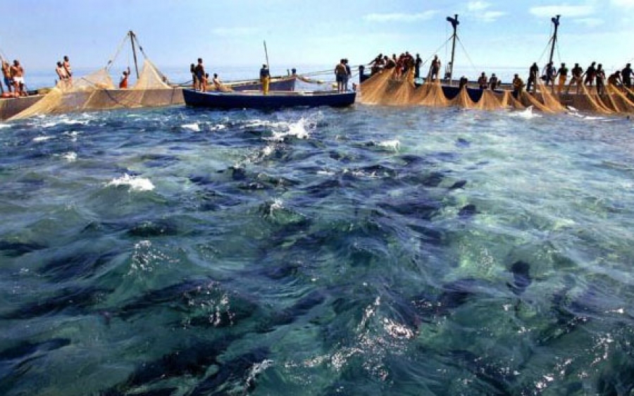 La mattanza dei "difettosi"