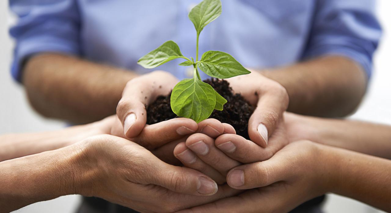 Salute e rispetto per l'ambiente si imparano a scuola