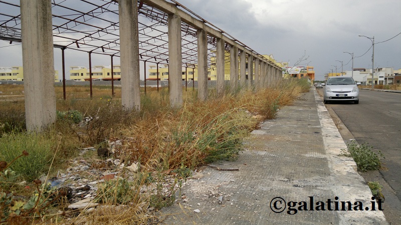 "Appuntamento al Ponte Picaleo per pulire le campagne galatinesi" "Appuntamento al Ponte Picaleo per pulire le campagne galatinesi"