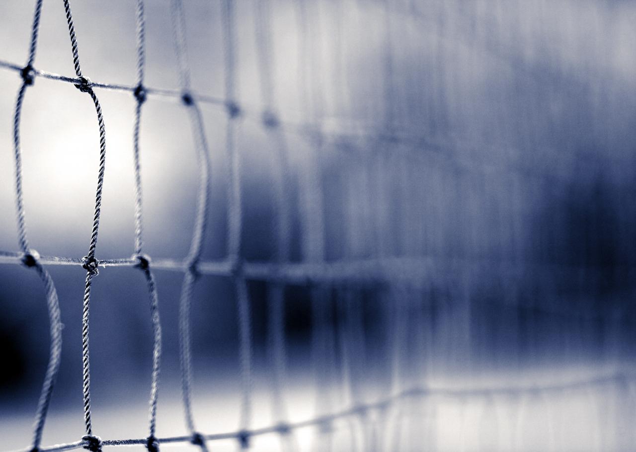 Gli under 16 della Showy accedono alla Final Four