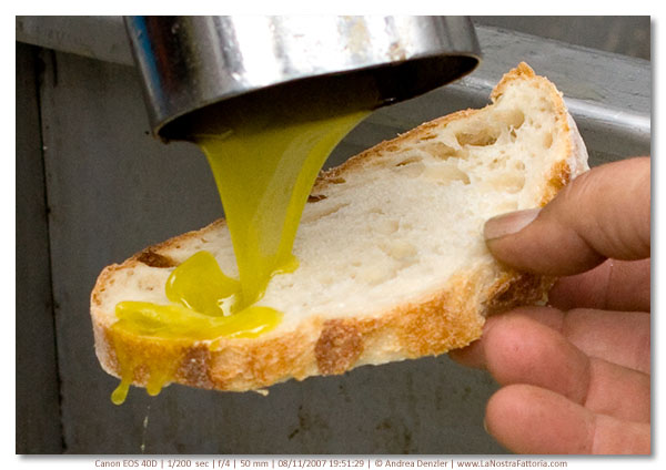 Un corso per assaggiatori di olio