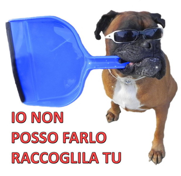 Firmata una convenzione con le Guardie Zoofile, dovranno sanzionare anche chi non raccoglie le deiezioni del proprio cane Firmata una convenzione con le Guardie Zoofile, dovranno sanzionare anche chi non raccoglie le deiezioni del proprio cane