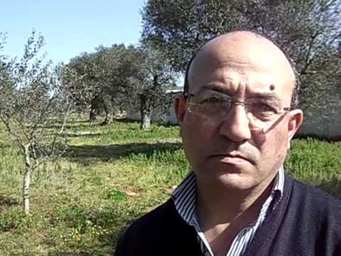 “Fare Antimafia”, Il Liceo “Vallone” a servizio della legalità 