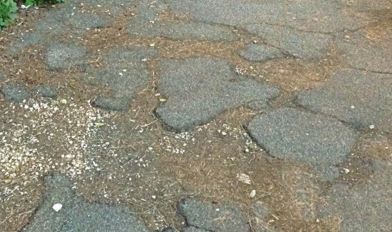 &quot;Se il comune non risponde entro 60 giorni il cittadino può costruire il marciapiede a sue spese&quot;