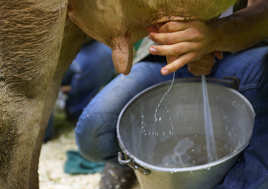 Da oggi obbligatorio indicare il paese di mungitura e trasformazione del latte