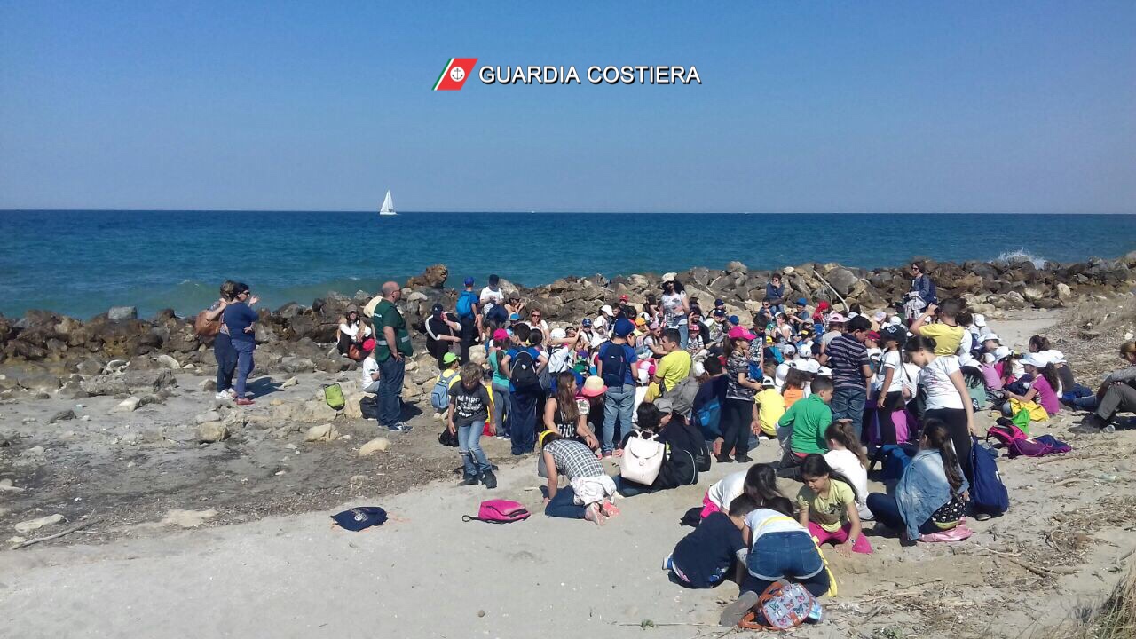 Liberate due tartarughe curate a Calimera