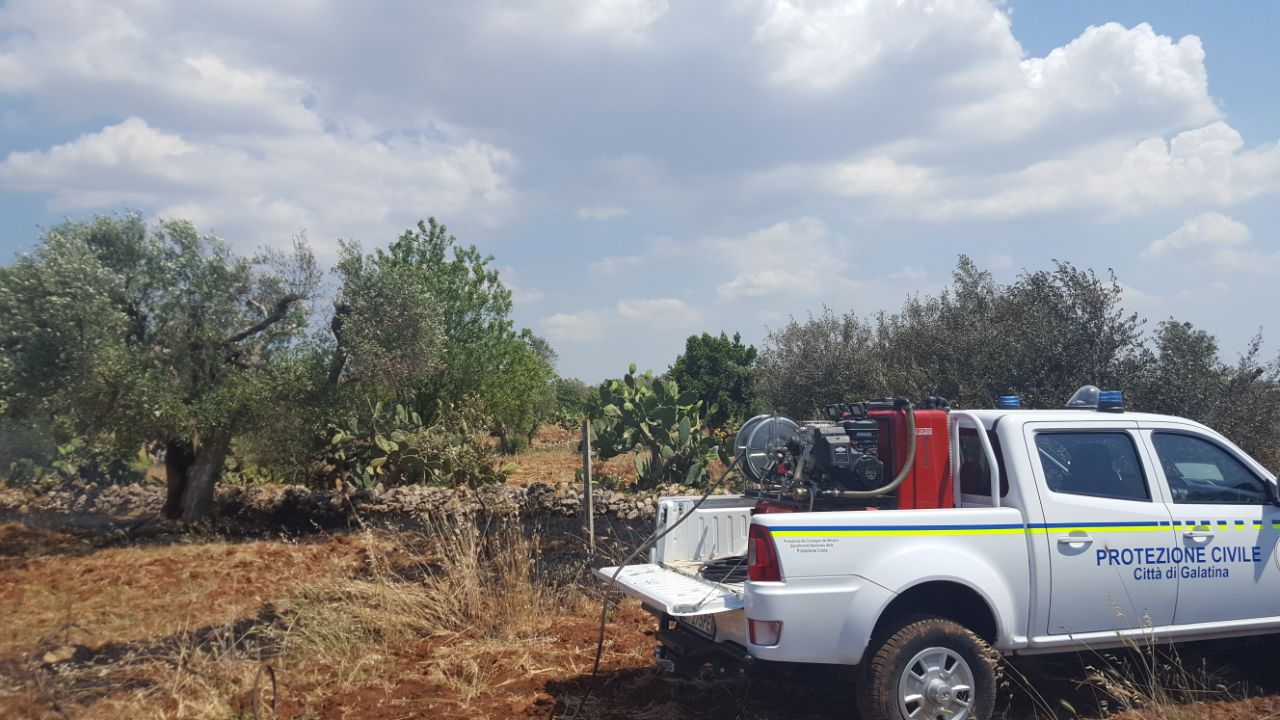 Fiamme fra gli ulivi in Contrada Lo Vita