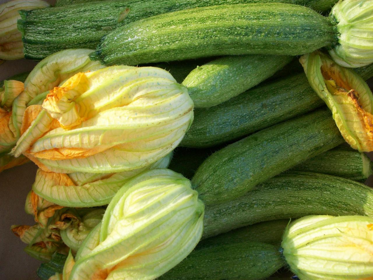 Millefoglie di zucchine Millefoglie di zucchine