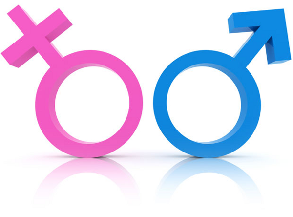 Verso la costituzione di un Osservatorio Nazionale sui temi della parità tra i sessi