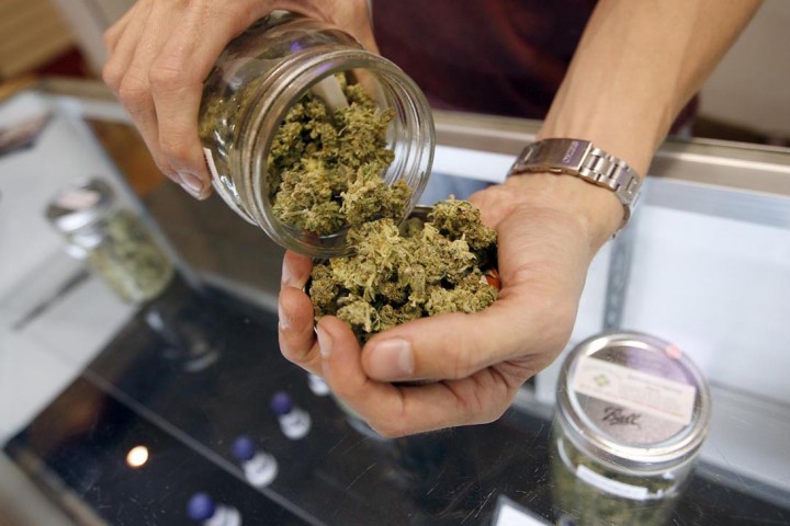 "Emiliano si occupi della cannabis terapeutica" "Emiliano si occupi della cannabis terapeutica"