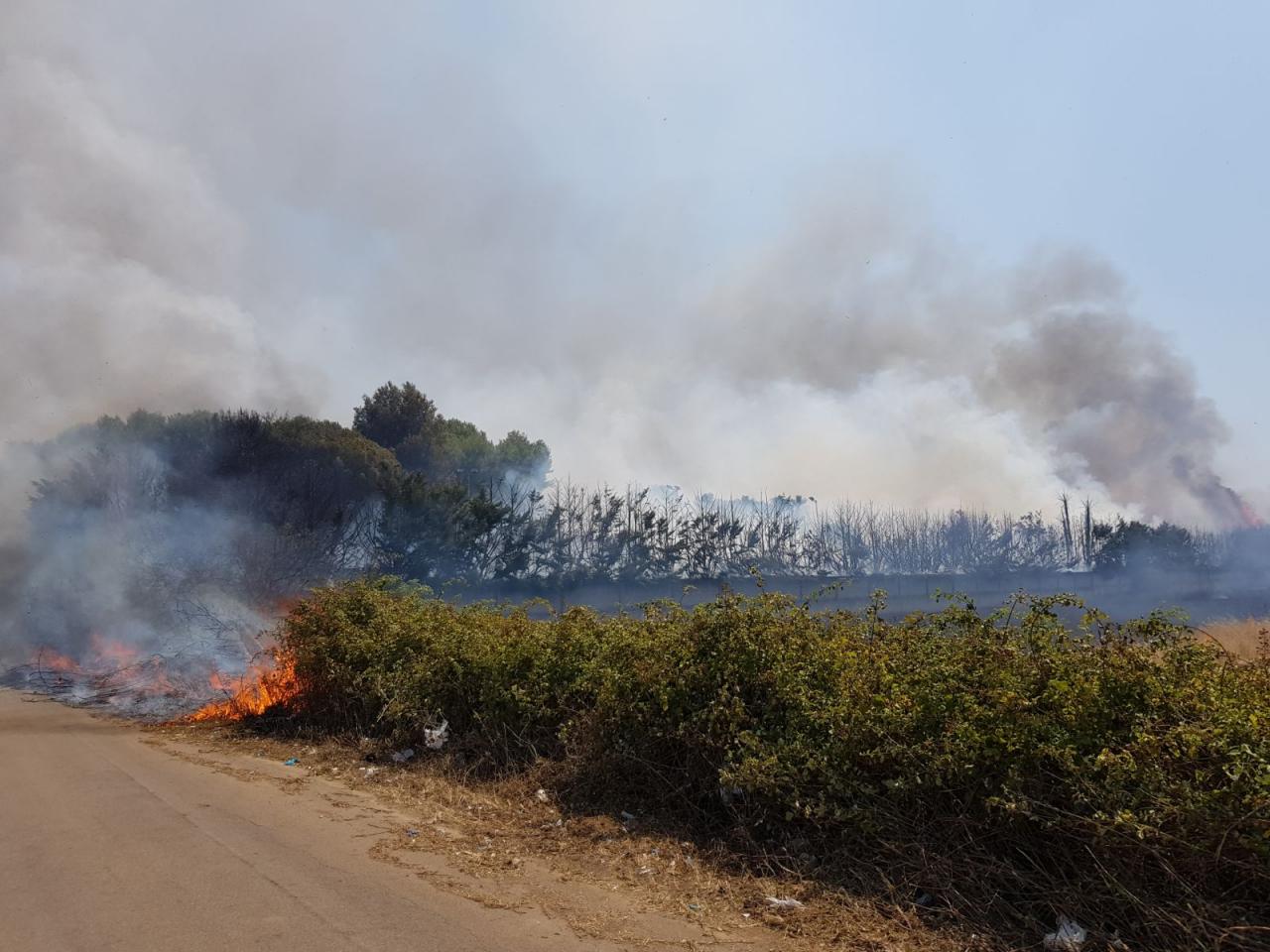 Incendio di notevoli dimensioni brucia in zona Duca