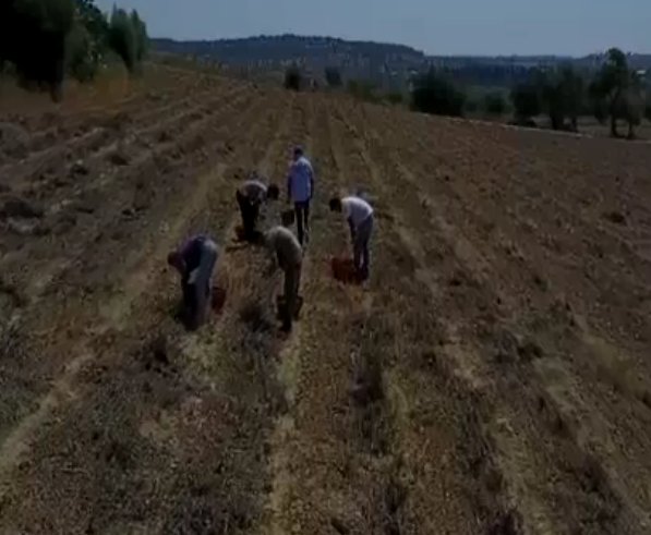 Contrasto al caporalato, controllate due aziende agricole a Nardò Contrasto al caporalato, controllate due aziende agricole a Nardò