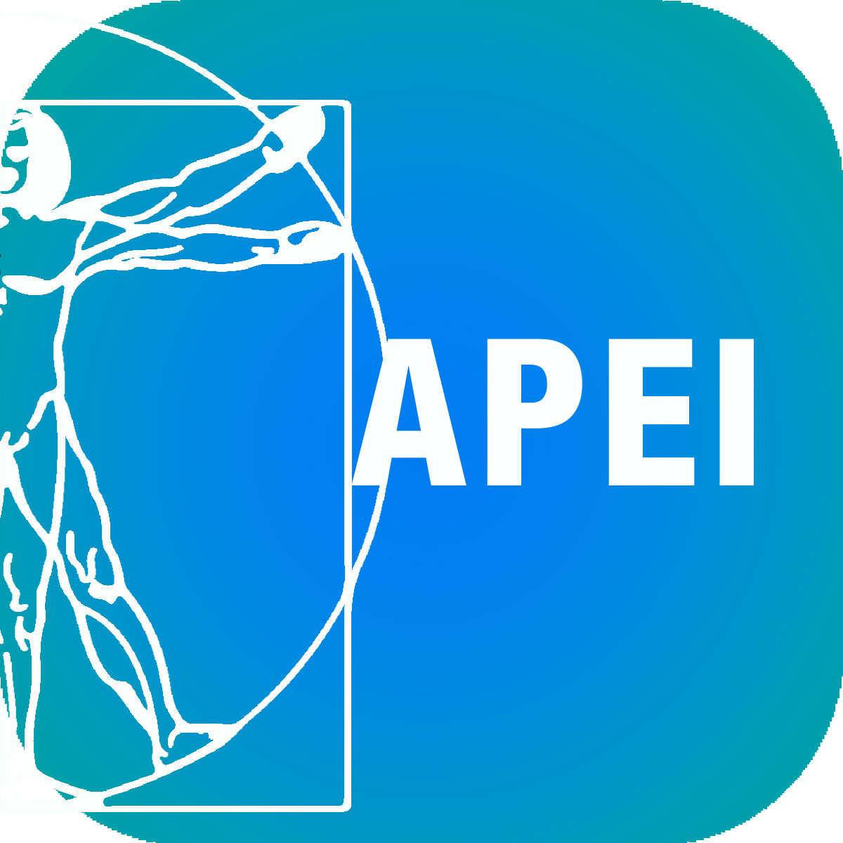 Liceo in quattro anni? Le critiche dei pedagogisti