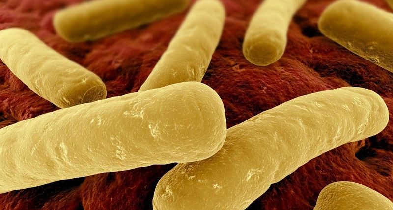 Botulismo nelle cime di rape &quot;al naturale&quot;, prodotto ritirato dal mercato