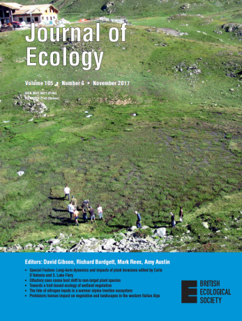 In Valle d'Aosta un pascolo di 5600 anni fa