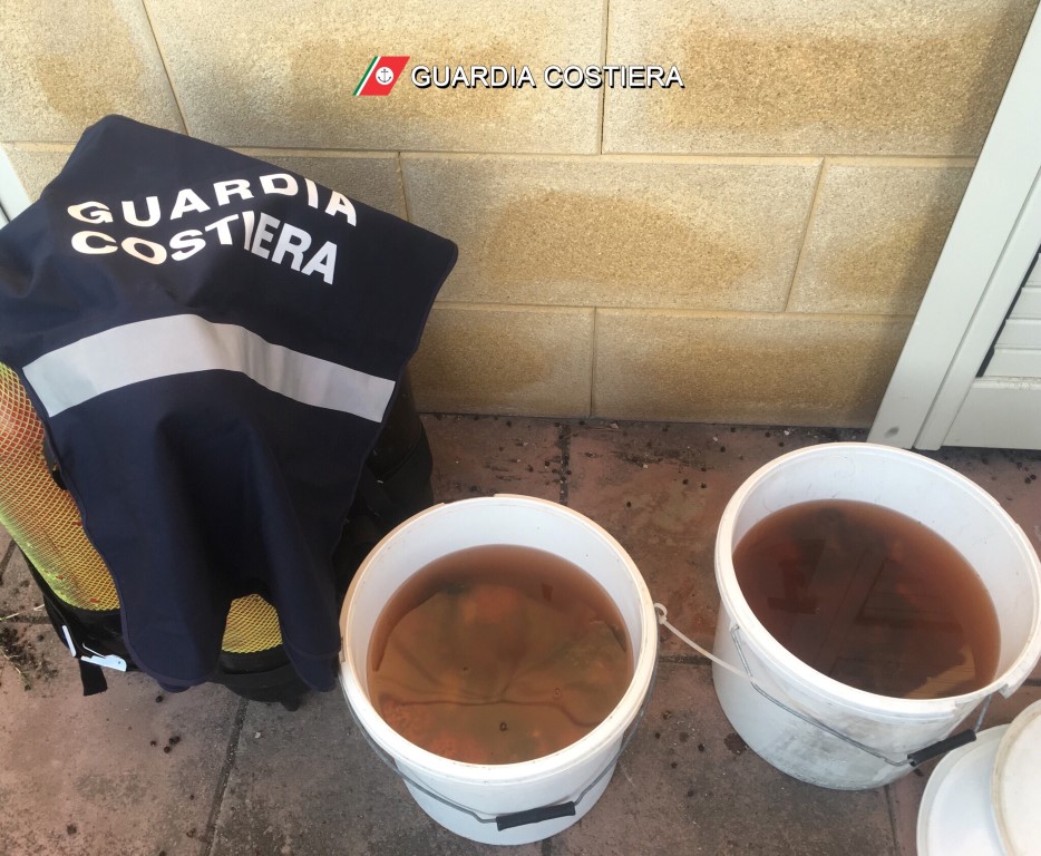 Pescavano nell'Area Marina Protetta di Porto Cesareo, denunciati Pescavano nell'Area Marina Protetta di Porto Cesareo, denunciati