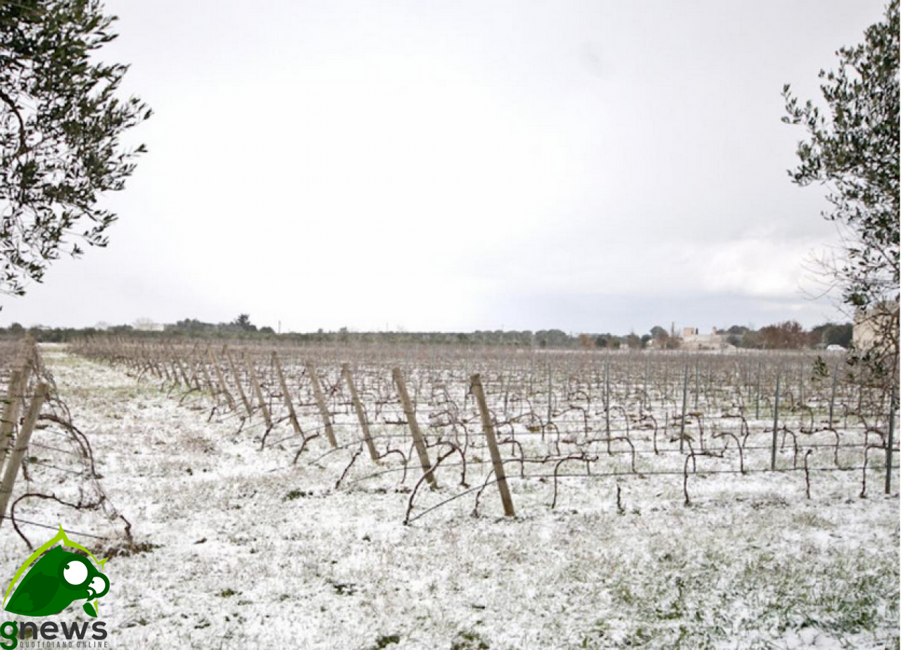 Gelata della Befana, si possono chiedere i contributi