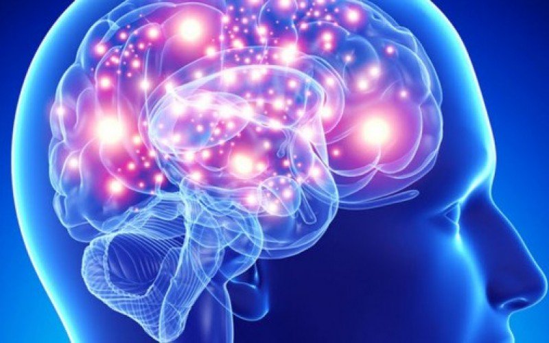 Le reti del nostro cervello