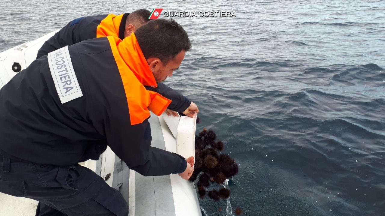 Ispezioni e multe della Guardia Costiera a tutela del mare