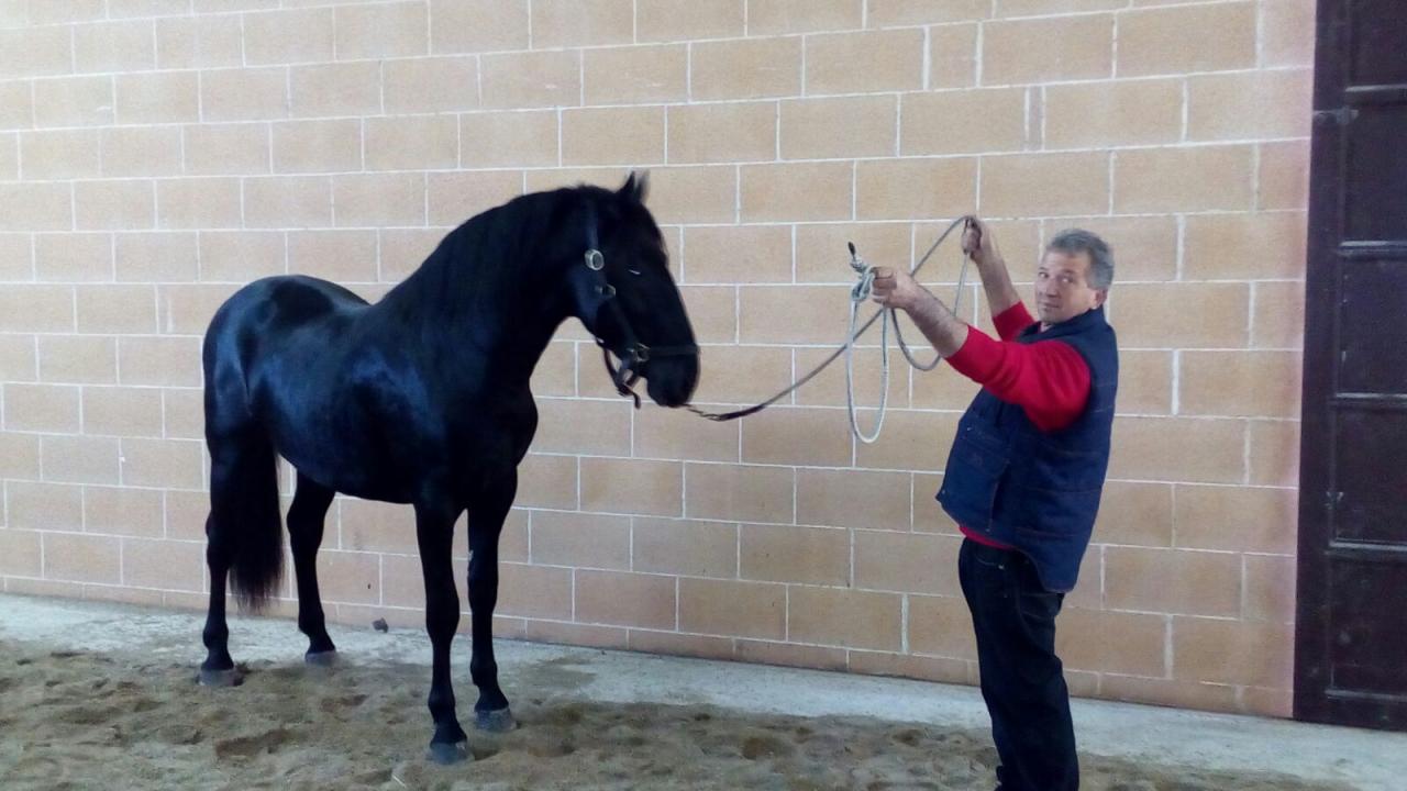 Il campione è 'Libero' 