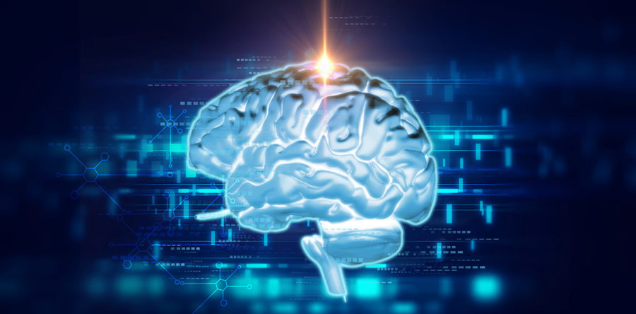 Scoprire l'Alzheimer con la Pet Scoprire l'Alzheimer con la Pet