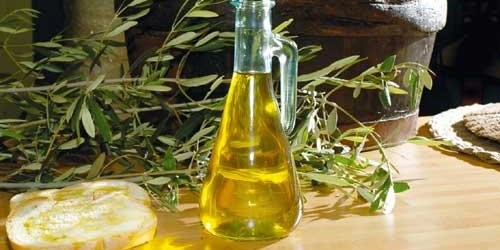 L'olio pugliese verso la denominazione IGP L'olio pugliese verso la denominazione IGP