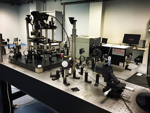 Diciannove borse di studio per i ricercatori salentini