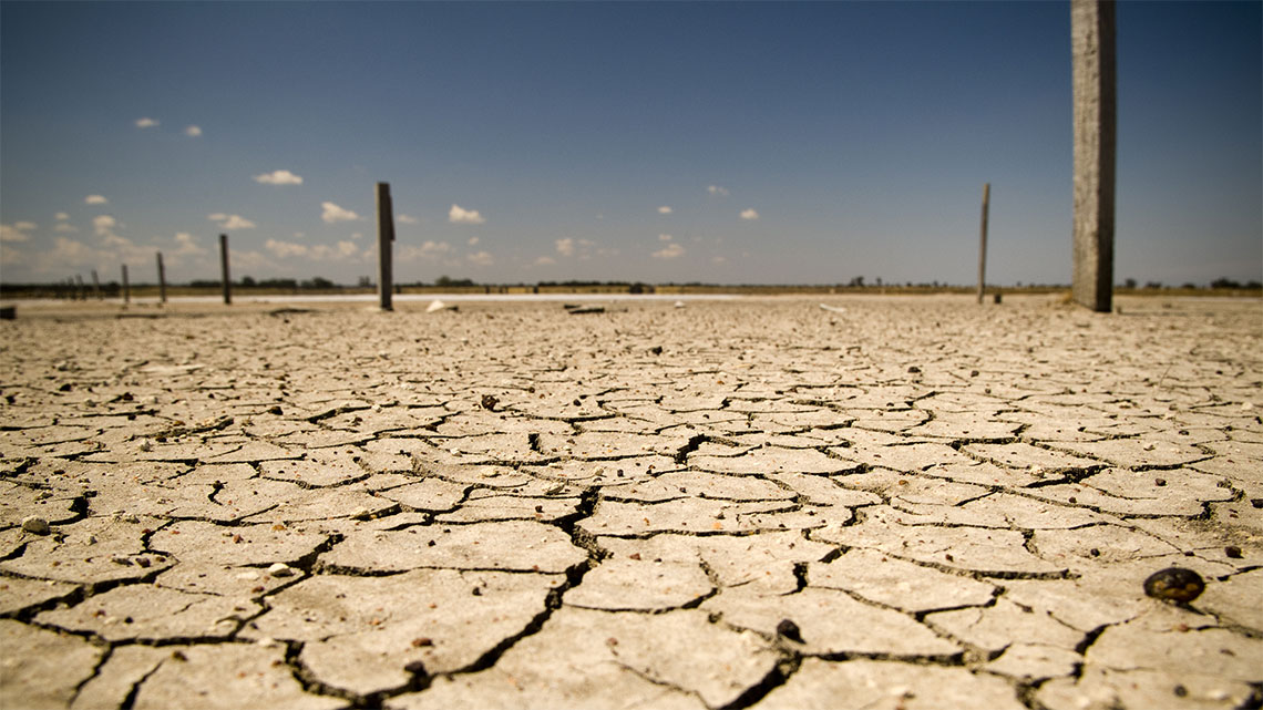 Puglia verso la desertificazione Puglia verso la desertificazione