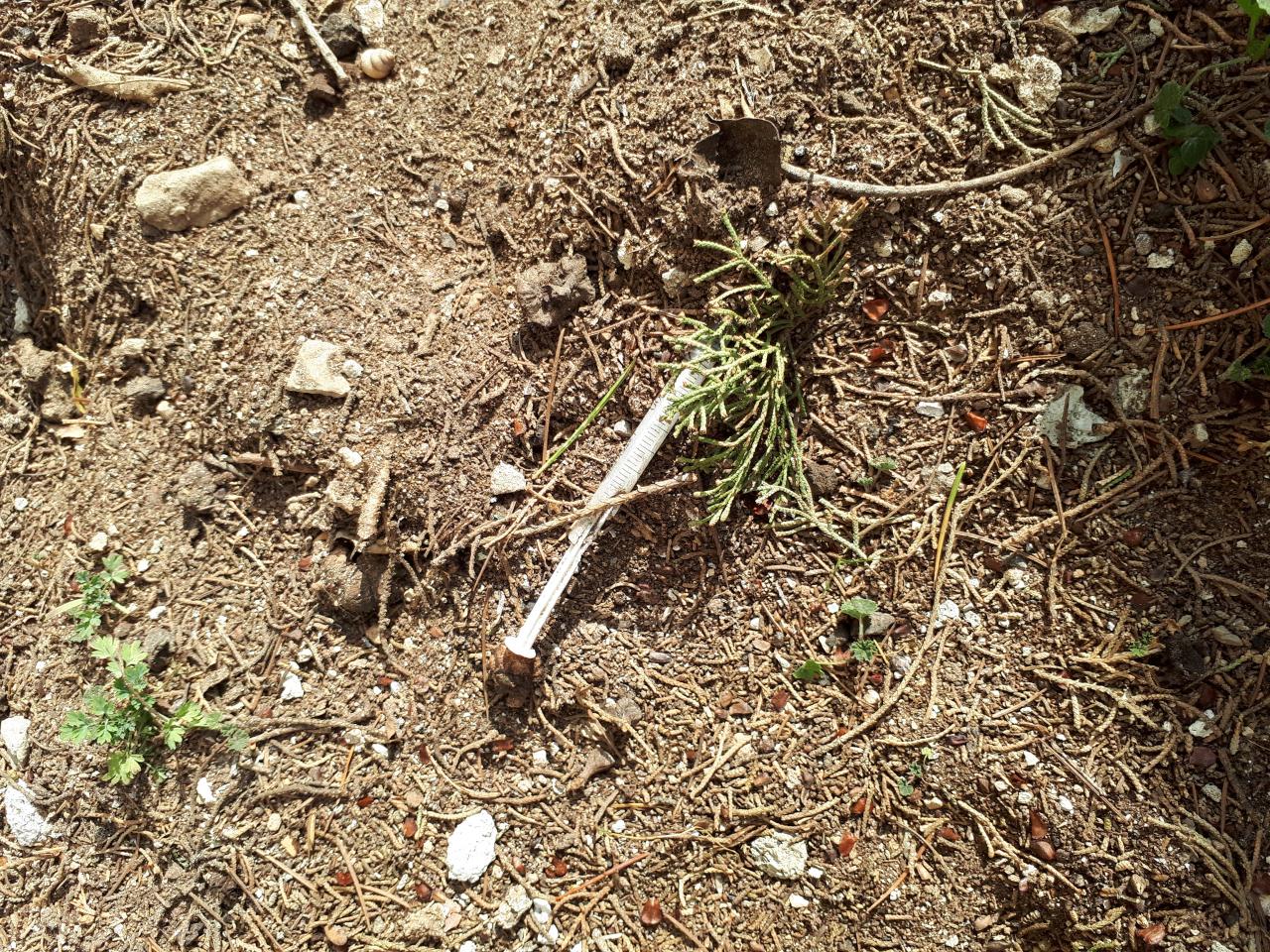 Pericolose siringhe su un marciapiede di via Montenero Pericolose siringhe su un marciapiede di via Montenero