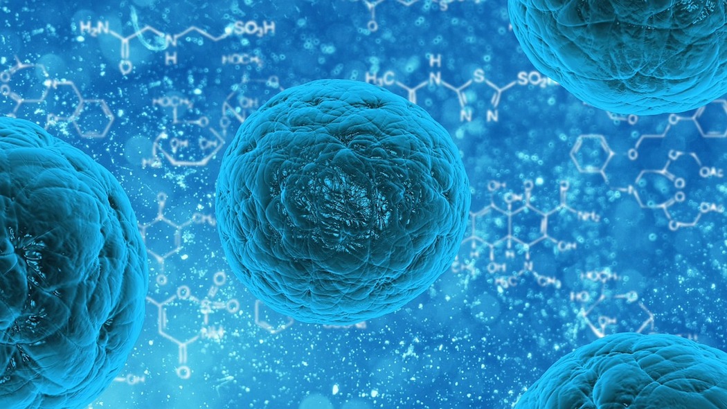 La luce per misurare le proprietà meccaniche e chimiche di cellule viventi e tessuti La luce per misurare le proprietà meccaniche e chimiche di cellule viventi e tessuti