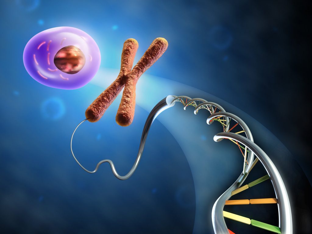 Excavator2, un nuovo algoritmo per scoprire le anomalie del DNA dovute al cancro Excavator2, un nuovo algoritmo per scoprire le anomalie del DNA dovute al cancro