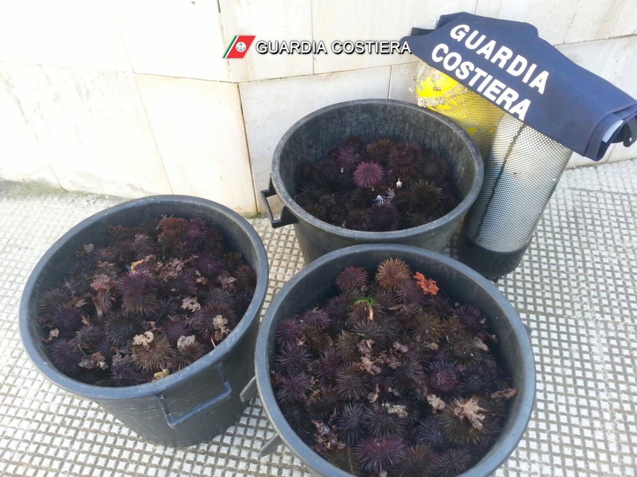 Mille ricci costano 4000 euro a due pescatori di frodo