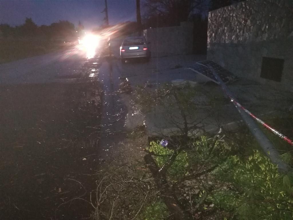 Un grosso pino cade sulla via per Collemeto ed abbatte un palo della pubblica illuminazione