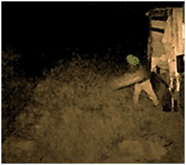 Le fototrappole immortalano uno sporcaccione in azione, punito Le fototrappole immortalano uno sporcaccione in azione, punito