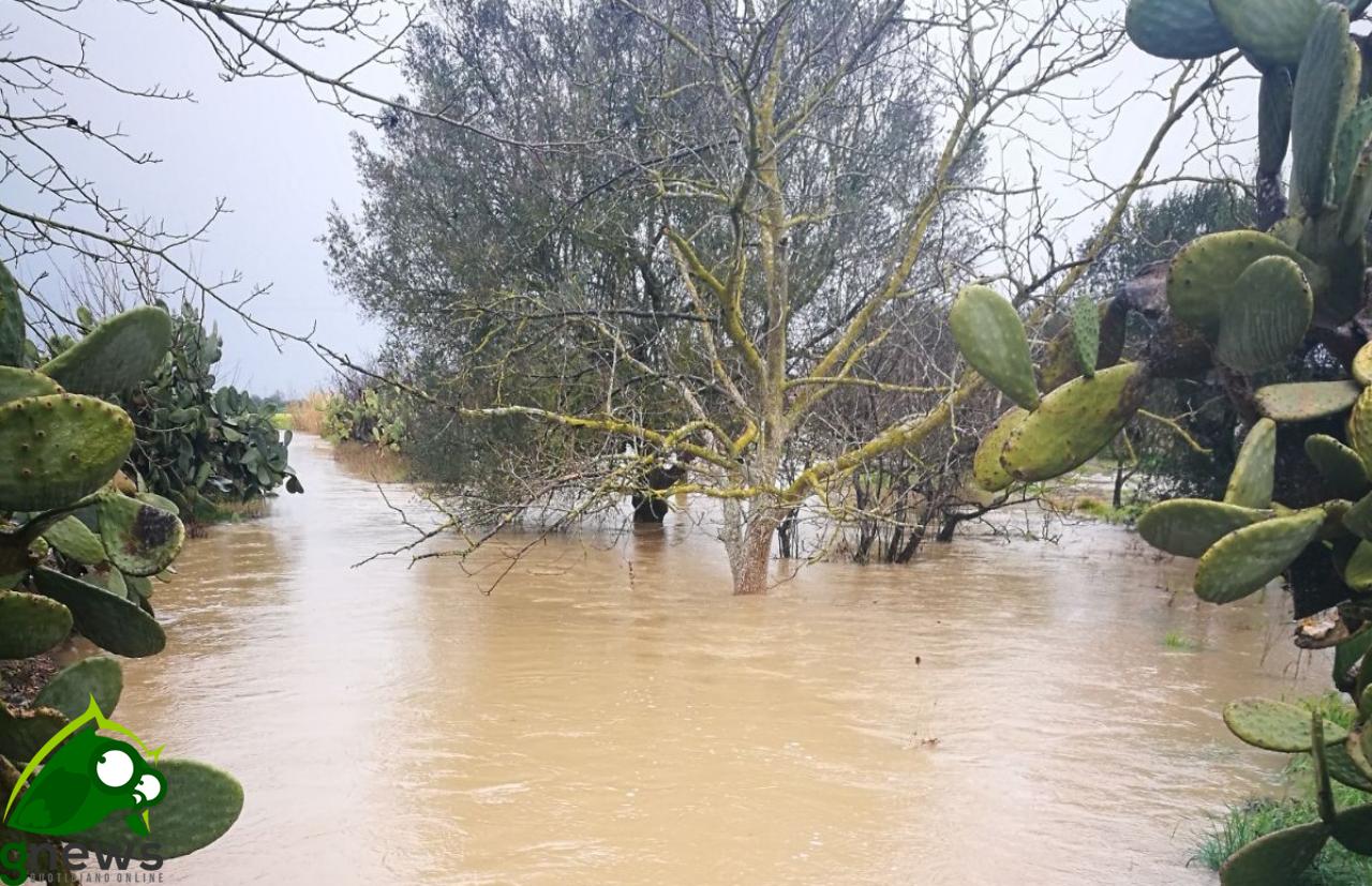 Esondazione del canale Asso, Coldiretti Lecce lancia l'allarme Esondazione del canale Asso, Coldiretti Lecce lancia l'allarme