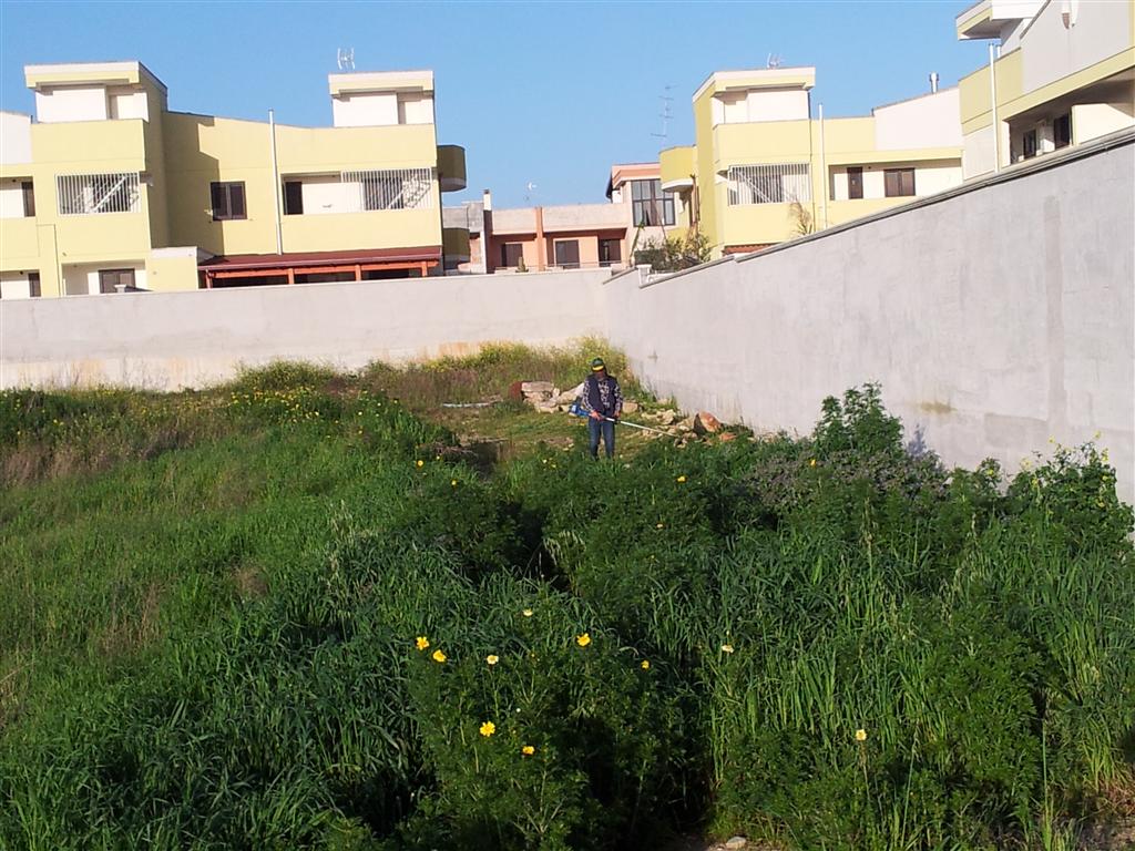 'Ponte Picaleo'. Puntuali con la primavera tornano i disagi